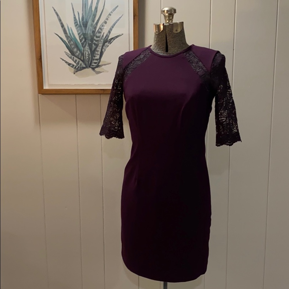 EUC! Eggplant Dress Calvin Klein